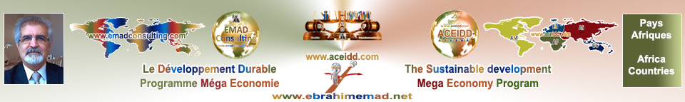 EMAD Consulting - Direction Afrique 