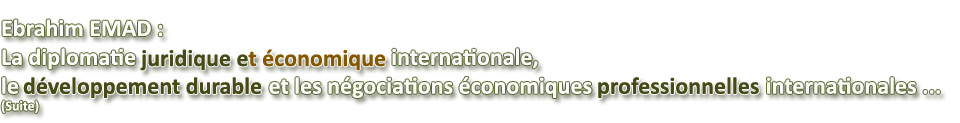 >> La DJEI et les n�gociations �conomiques professionnelles internationales