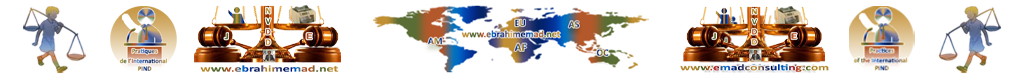 EMAD, EMAD Consulting et les pratiques de l'International